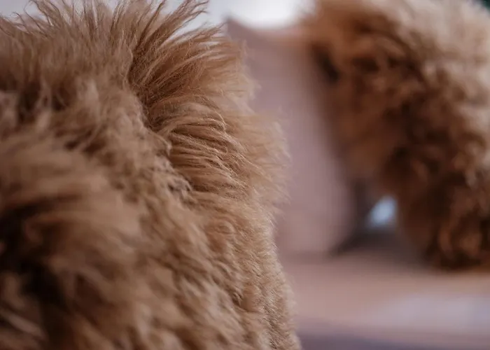 Appartement Haus Malva By Premium Zermatt