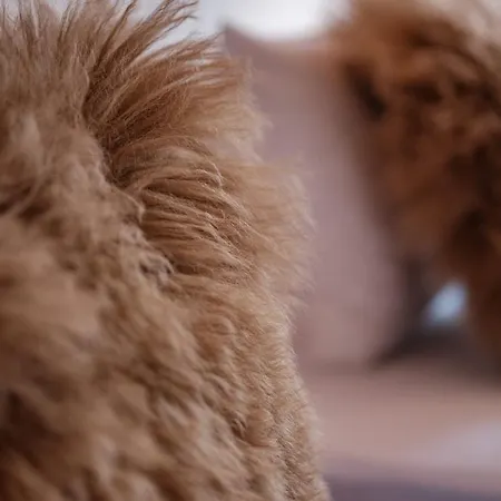 Апартаменти Haus Malva By Premium Церматт